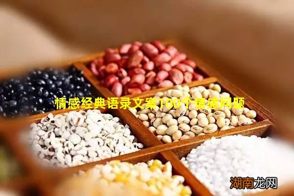 情感经典语录文案100个情感问题
