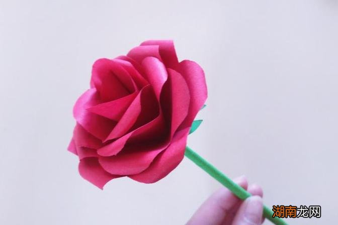 所寓意的花语意思解读 8朵玫瑰花代表什么意思