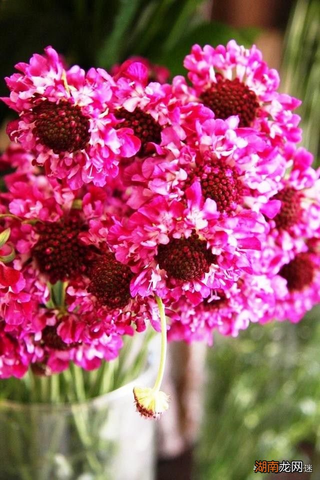 情感障碍有哪三类文本情感分析工具