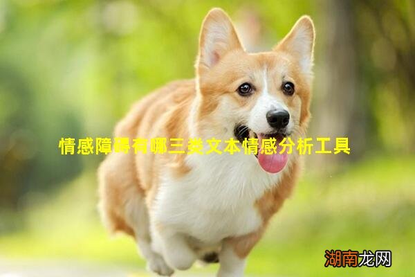 情感障碍有哪三类文本情感分析工具