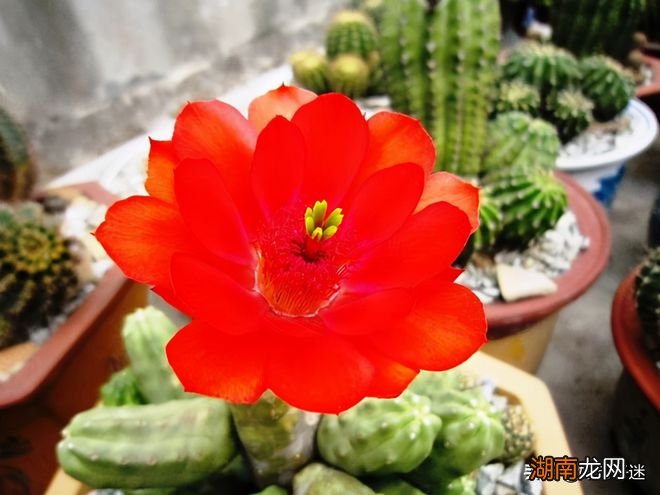 情感障碍有哪三类文本情感分析工具