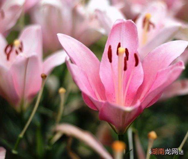 情感障碍有哪三类文本情感分析工具