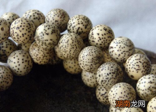 常见菩提子种类 菩提子的种类全解图及名称