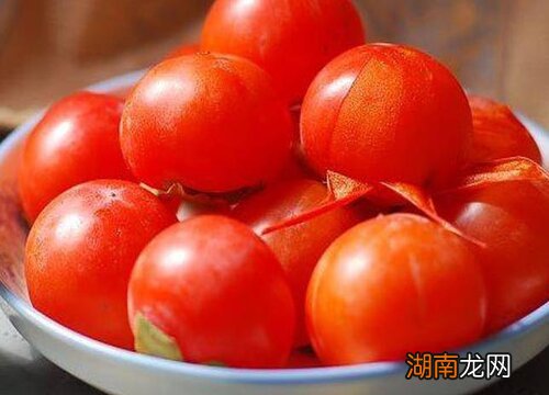 柿子和番茄有什么关系 柿子和番茄什么区别