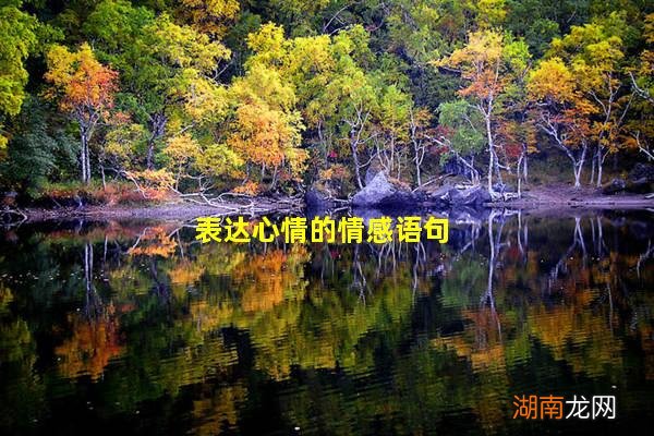 表达心情的情感语句