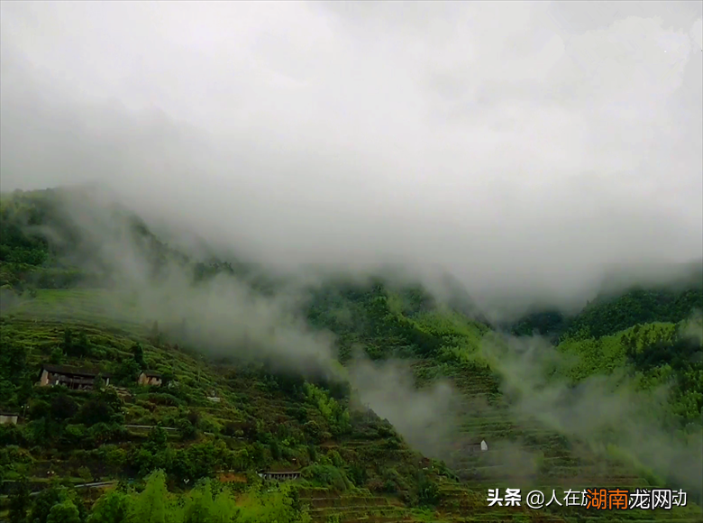 这些景点值得一去 景宁畲族自治县旅游景点攻略