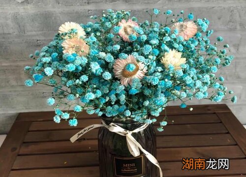 花语寓意是思念的花朵 代表思念的花是什么花