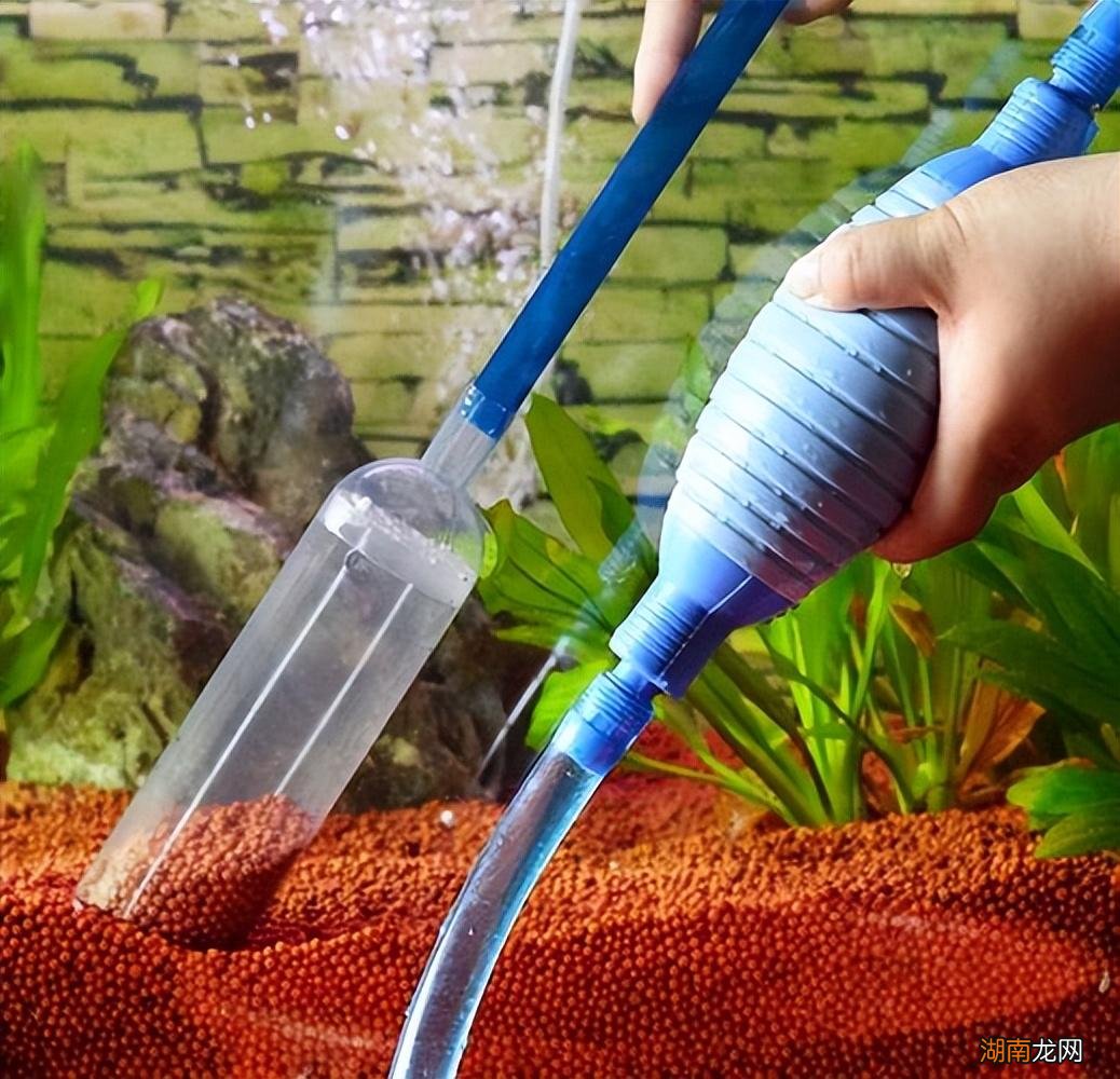 清理鱼缸鱼粪保持清澈的方法 鱼缸中鱼屎的清理妙招