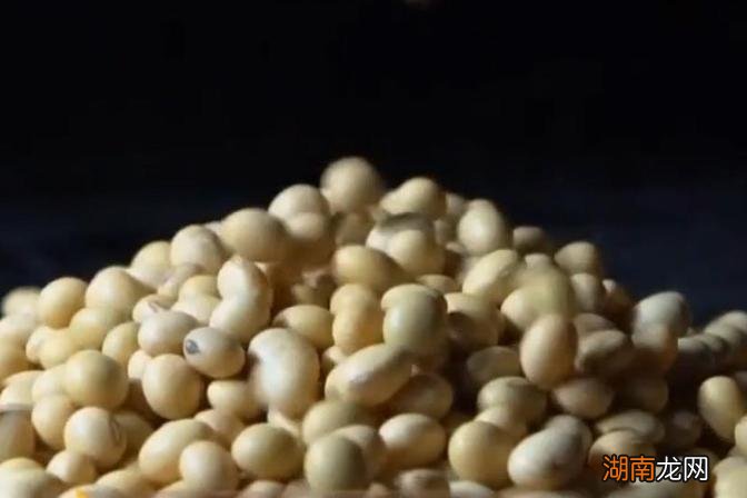 黑农84品种简介 黑农84大豆种子介绍