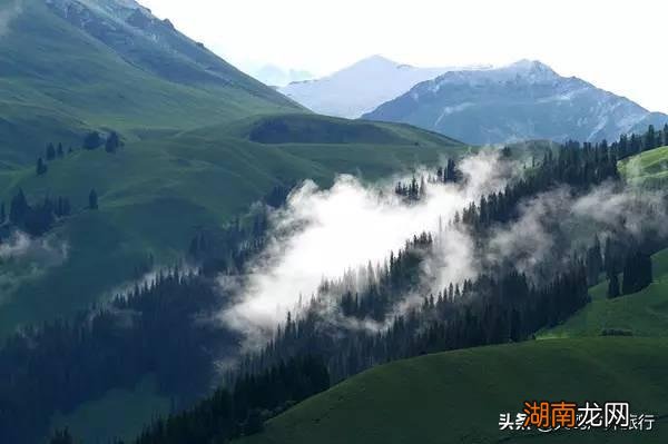 新疆的唐布拉百里画廊美景 唐布拉景区在什么地方