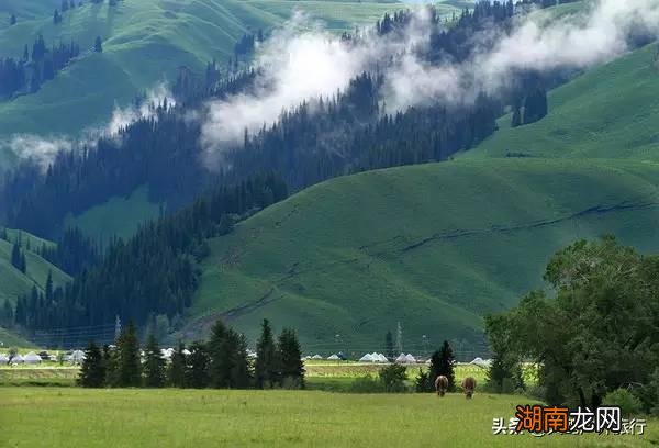 新疆的唐布拉百里画廊美景 唐布拉景区在什么地方