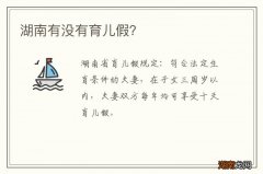 湖南有没有育儿假？