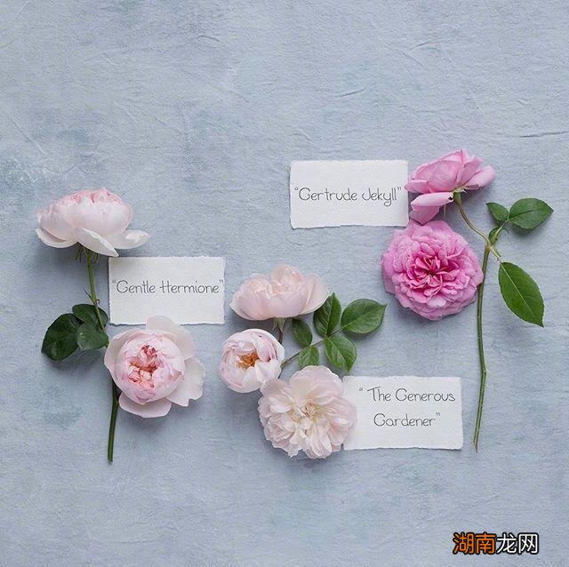 深夜情感文本情感美文欣赏50篇