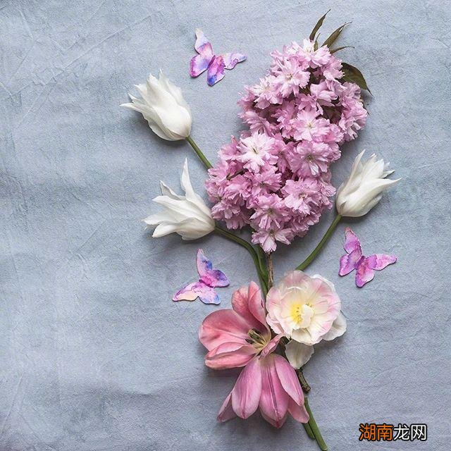 深夜情感文本情感美文欣赏50篇