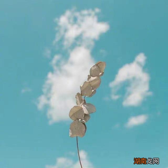 理智与情感电影文本情绪分析