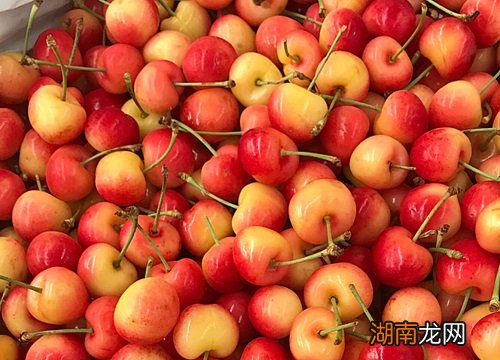 车厘子和樱桃并不是同一种水果。 车厘子是不是樱桃