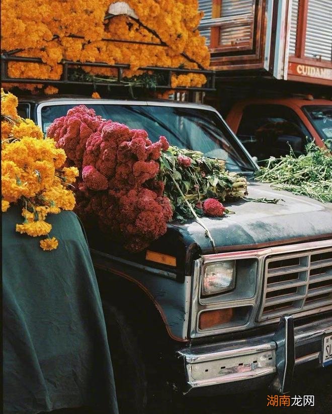 情感主观性情感淡漠症 知乎