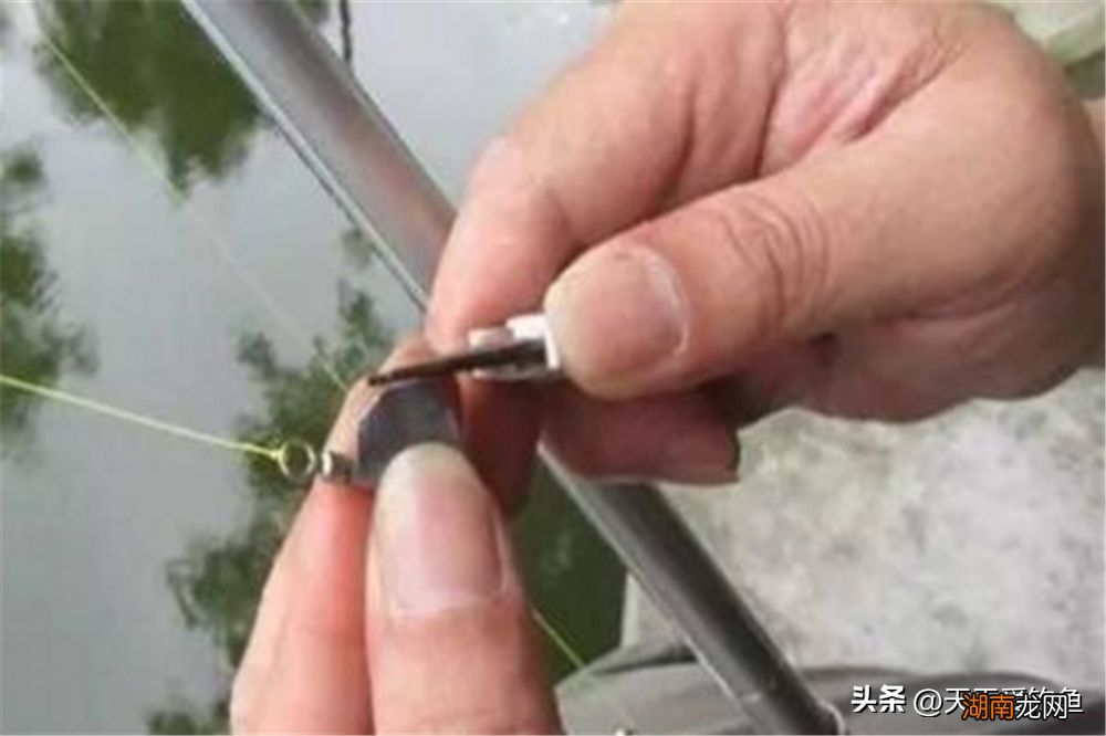 详解各种漂的选择和调整方法 钓鱼怎么调漂正确调漂法