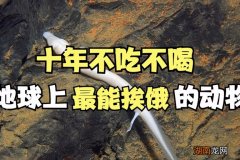 这些动物可以十年不吃喝东西 十年不进食两栖动物