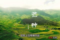 芒种需要注意的问题 芒种要做什么事情