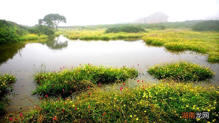 攀枝花值得打卡的小众景点攻略 四川攀枝花十大旅游景点