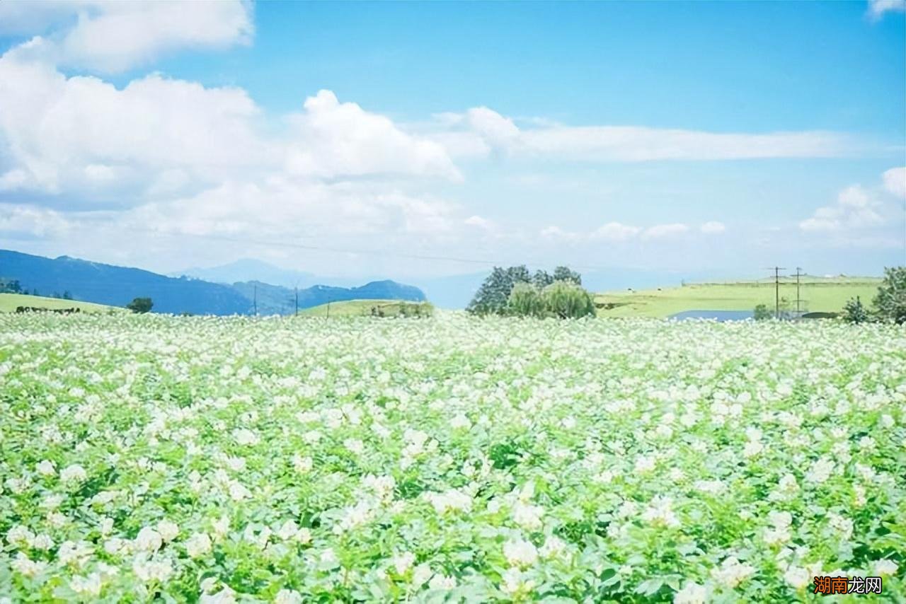 攀枝花值得打卡的小众景点攻略 四川攀枝花十大旅游景点