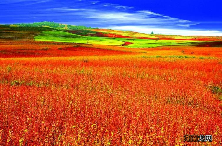 攀枝花值得打卡的小众景点攻略 四川攀枝花十大旅游景点