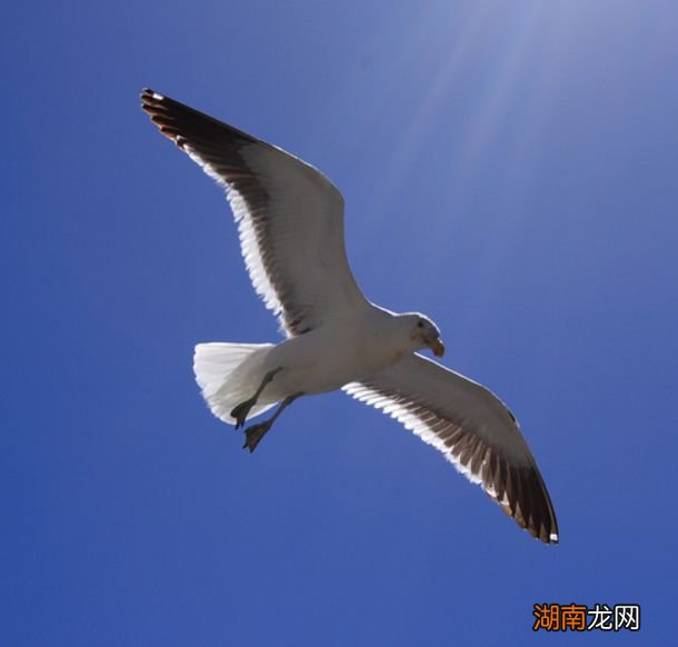 情感美文短篇大全