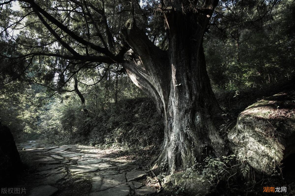 四川广元6大必玩景点攻略 四川广元旅游景点有哪些推荐