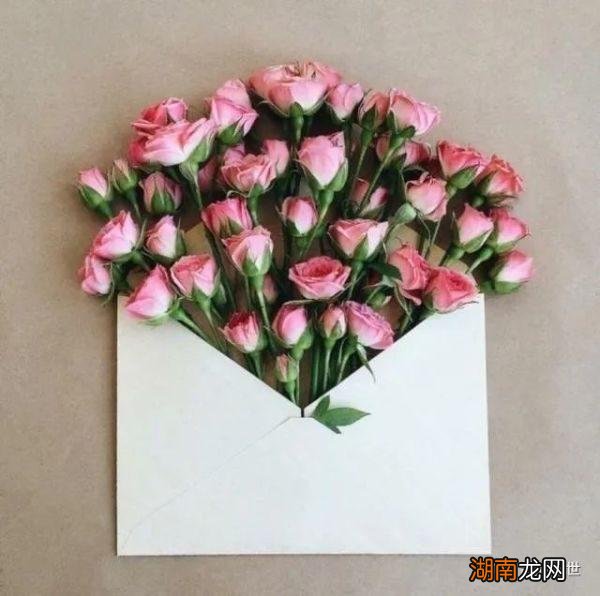 情感文本稿子情感类网站