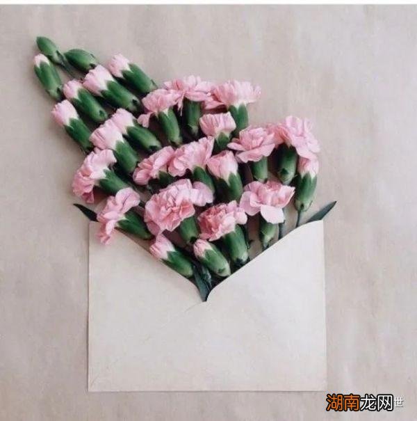 情感文本稿子情感类网站