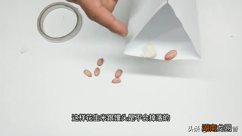 家里有老鼠给他吃这些东西就好 老鼠最爱吃什么食物