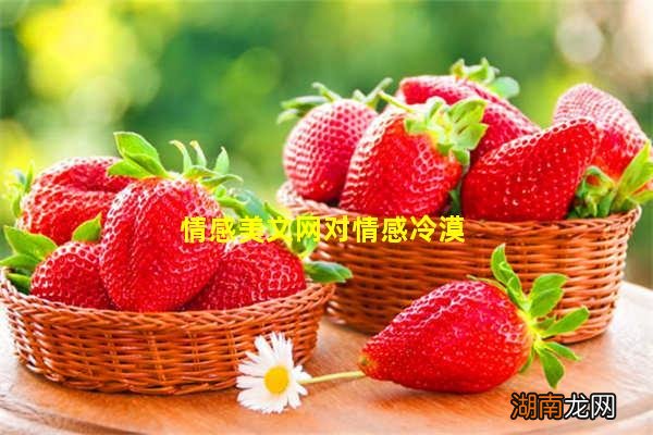 情感美文网对情感冷漠