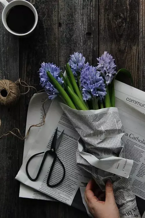 盘点那些代表分手寓意的花 结束一段感情送什么花