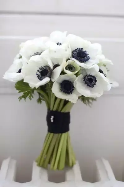 盘点那些代表分手寓意的花 结束一段感情送什么花