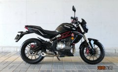 黄龙300是什么牌子的车