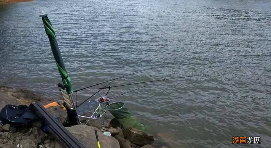 春季钓鱼上鱼快的经验 春钓深水还是浅水比较好