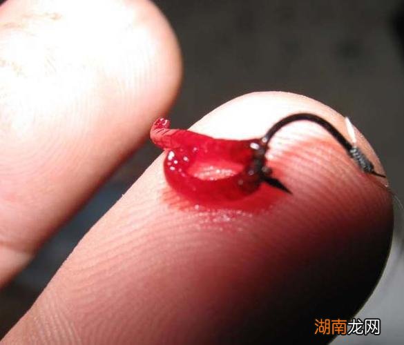 掌握正确挂钩方法不再挂错 红虫颗粒饵料怎么挂钩