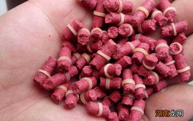 掌握正确挂钩方法不再挂错 红虫颗粒饵料怎么挂钩