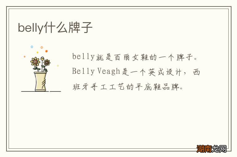 belly什么牌子