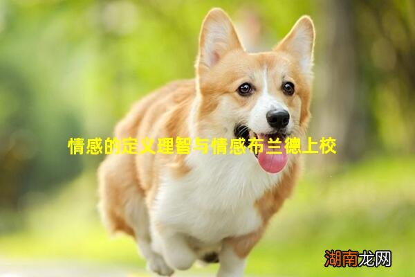 情感的定义理智与情感布兰德上校