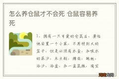 怎么养仓鼠才不会死 仓鼠容易养死