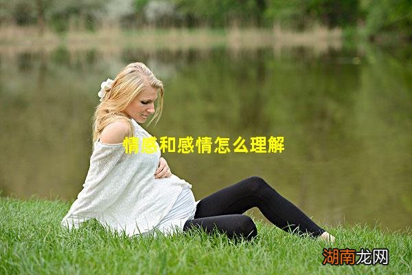情感和感情怎么理解