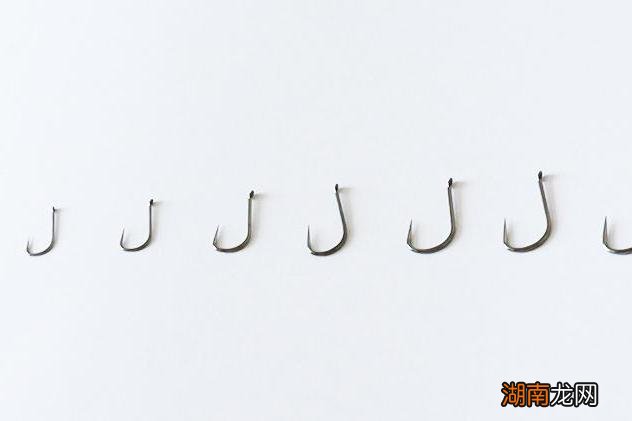 不容错过 新关东鱼钩型号大小对比表