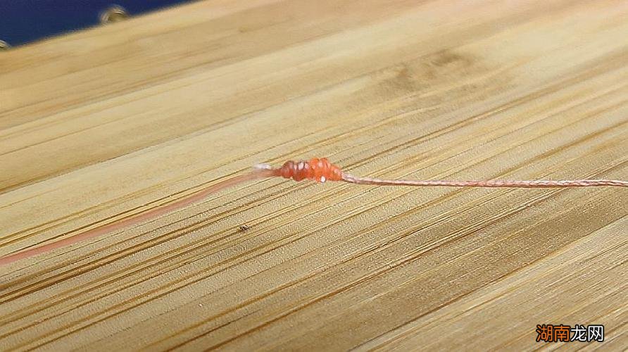 告别不规范绑线情况 路亚轮怎么绑线技巧