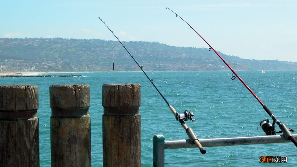 分析并说明原因 钓鱼竿是费力杠杆还是省力杠杆