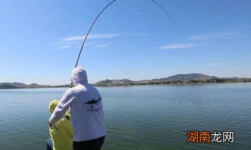 初夏钓鱼技巧 初夏钓鱼钓深水还是浅水上鱼快