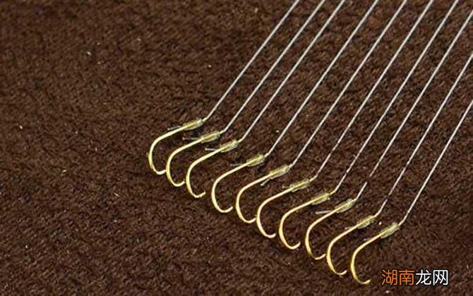 1号子线能钓多大的鱼(1号子线钓衸暧阈Ч绾危?