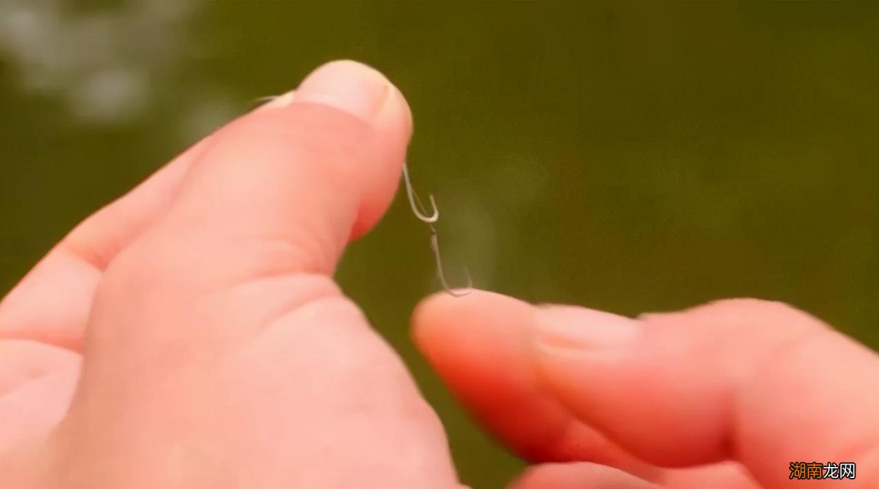 1号子线能钓多大的鱼(1号子线钓衸暧阈Ч绾危?