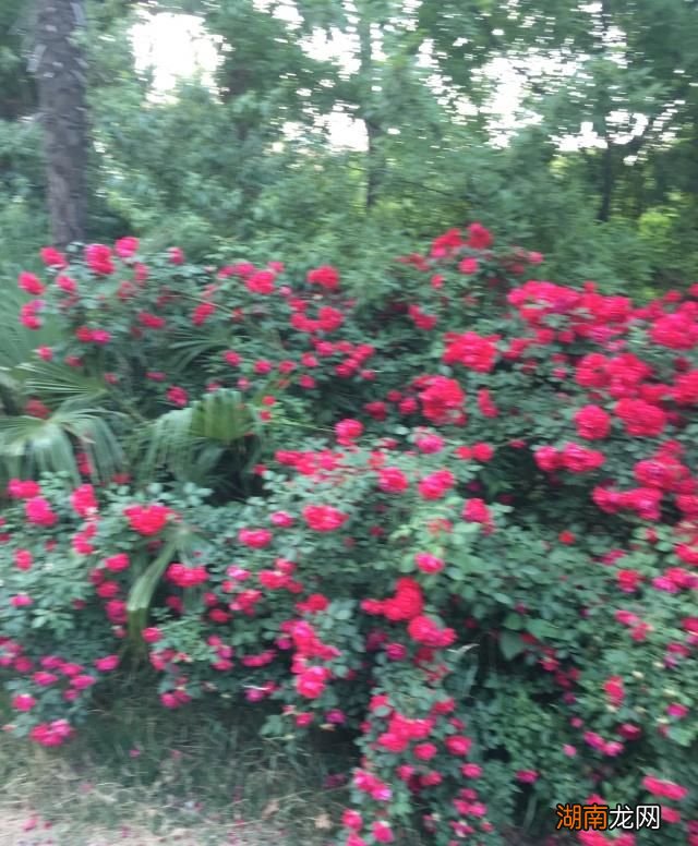 情感专家真的懂感情吗